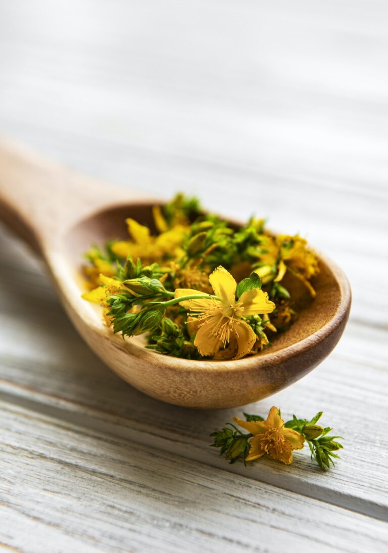 St. John's wort extract